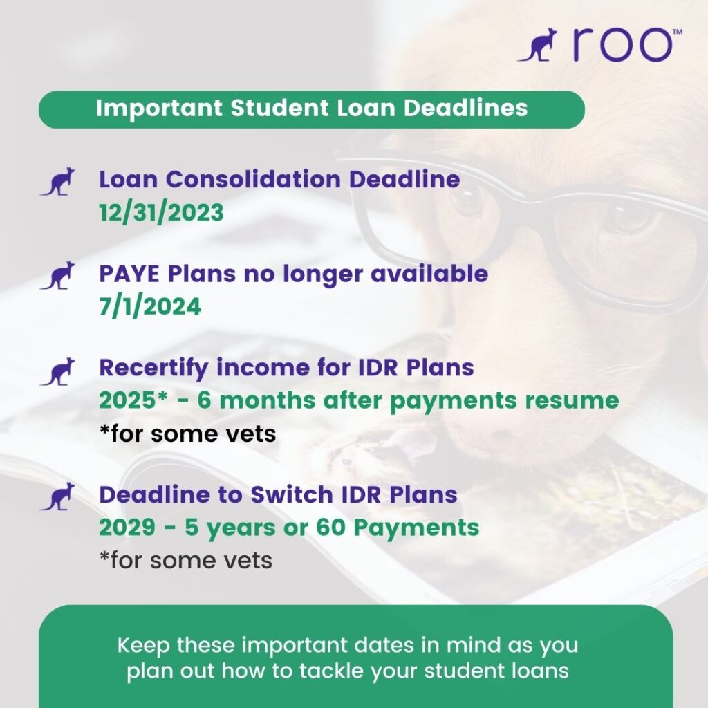 Key important dates for how long it takes to pay off vet school loans 