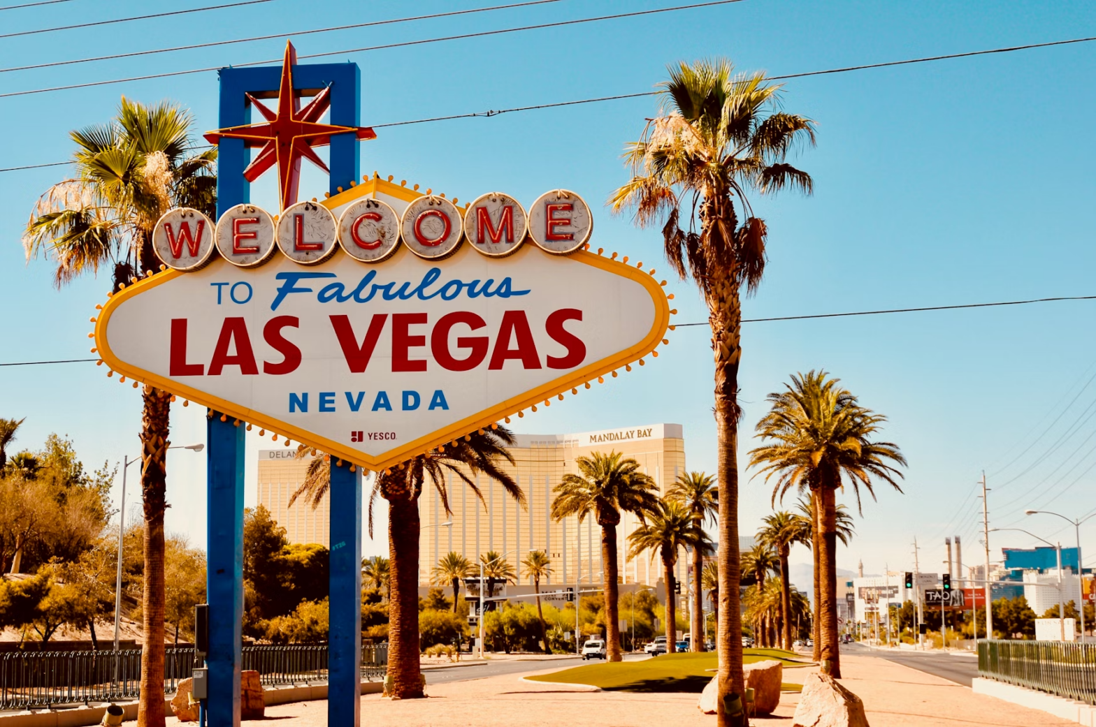Welcome your Veterinary Vegas Vacation with a Nevada Temporary License