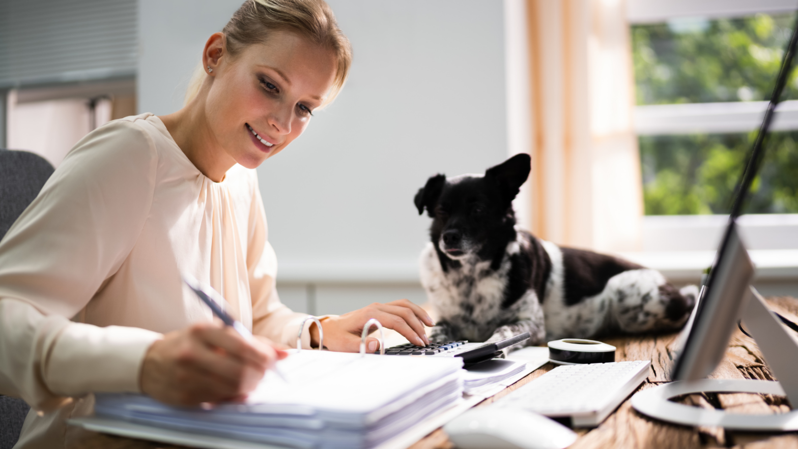 How to file taxes as an independent contractor relief veterinarian or relief technician